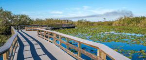 Detox Near Me in Homestead florida q space detox